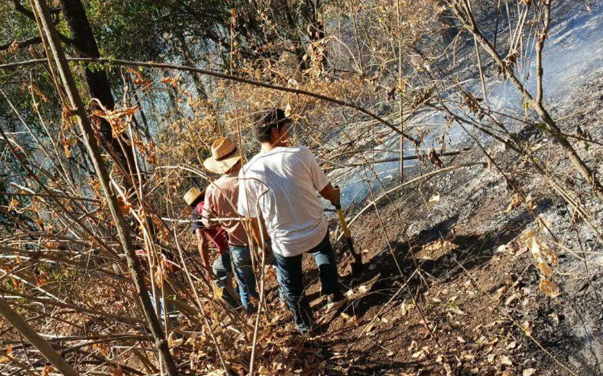 hueyapan-incendio-forestal