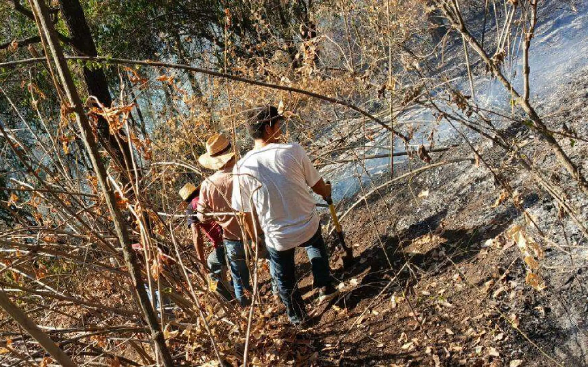 hueyapan-incendio-forestal