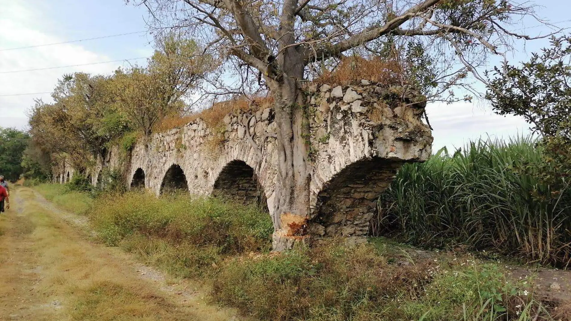 amartes-acueducto-gudelia2