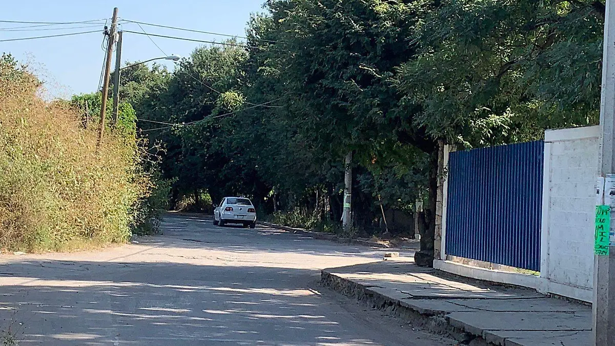 cbtis-cuautla-ofelia