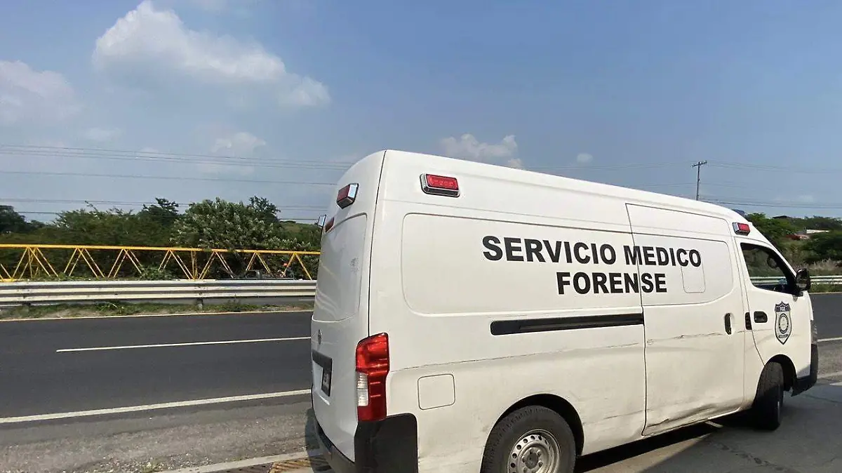 forense-servicio-ofelia