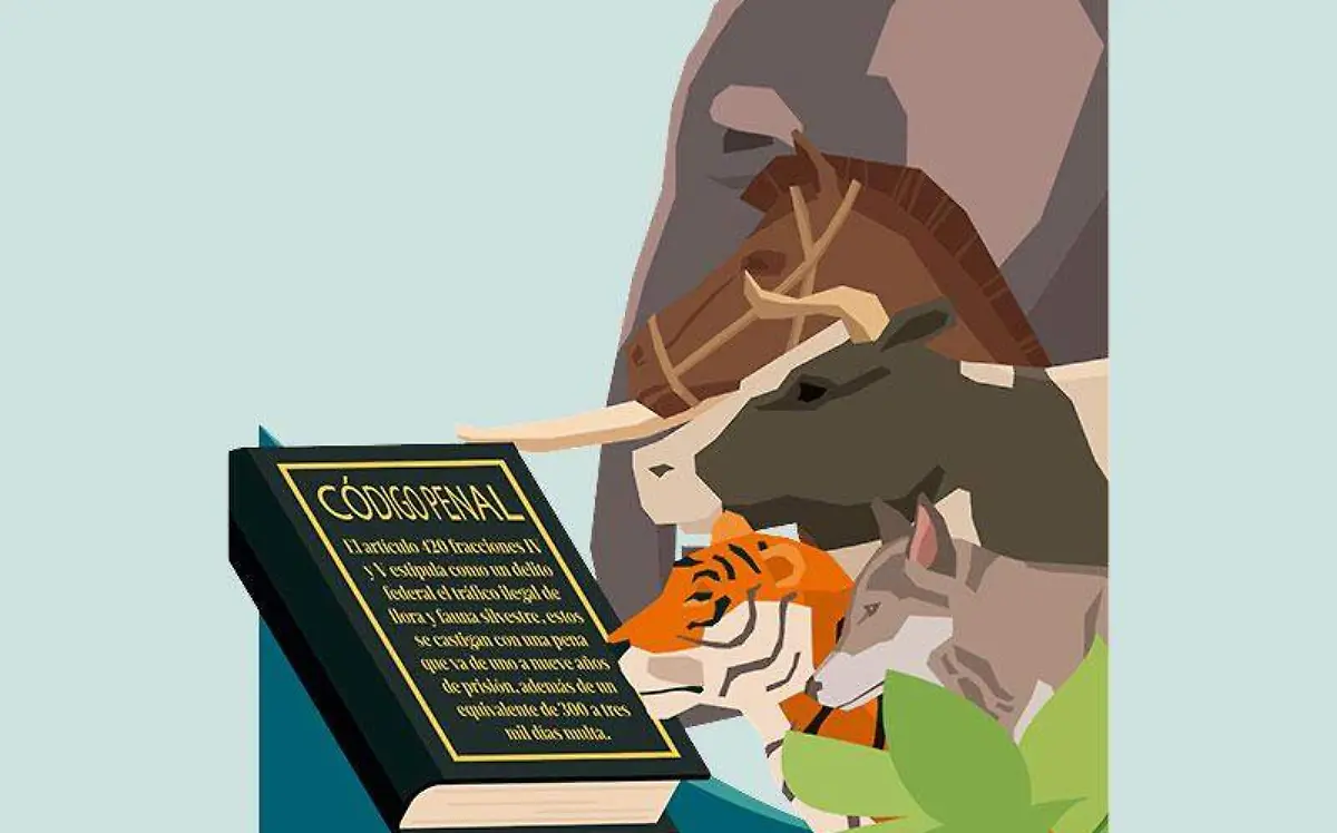 animalia-leyes-de-proteccion-animal
