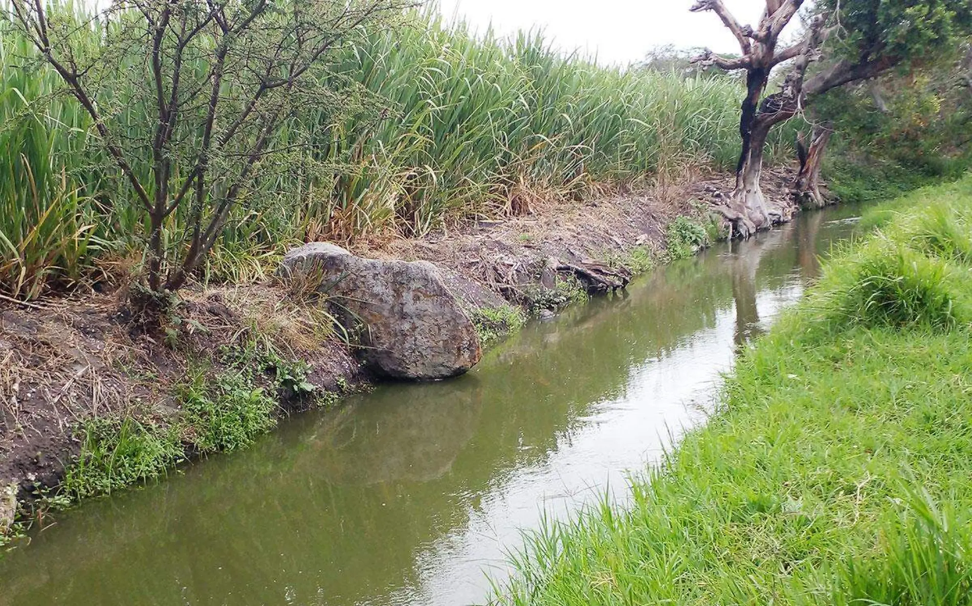 riveras-canales-cuautla