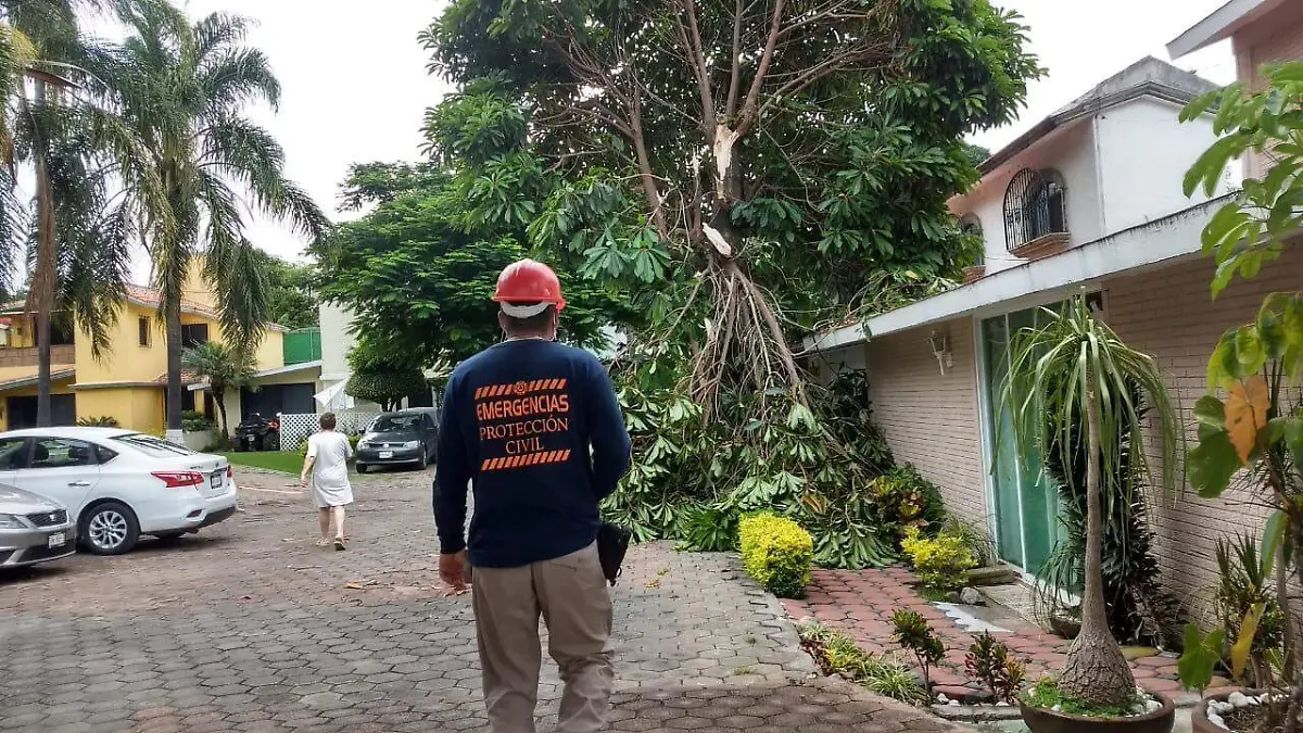 Proteccion Civil