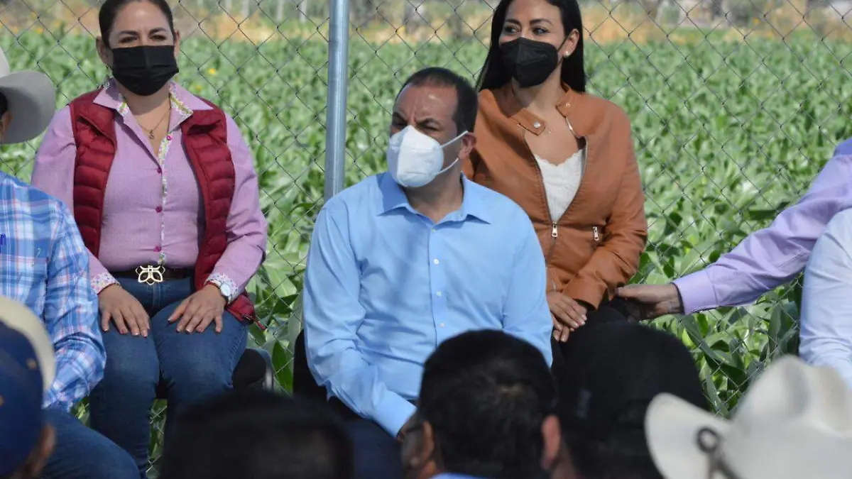 Gober-Morelos-Blanco4