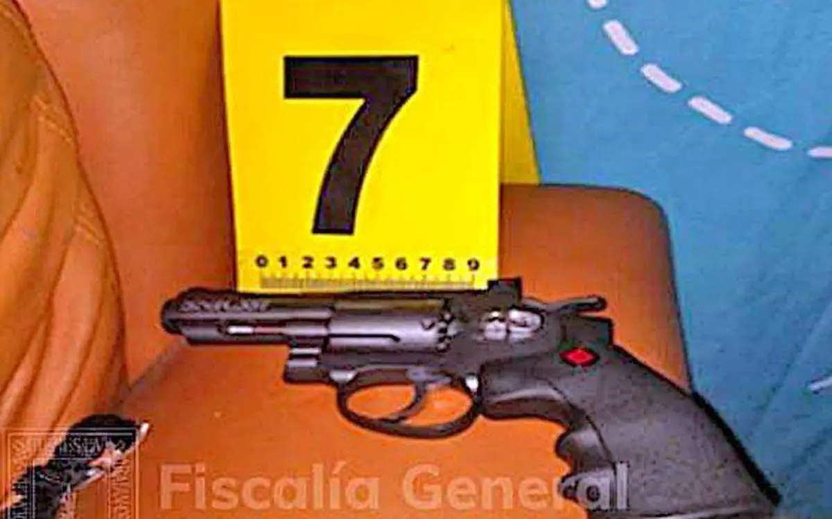 Localizaron una pistola calibre .22.