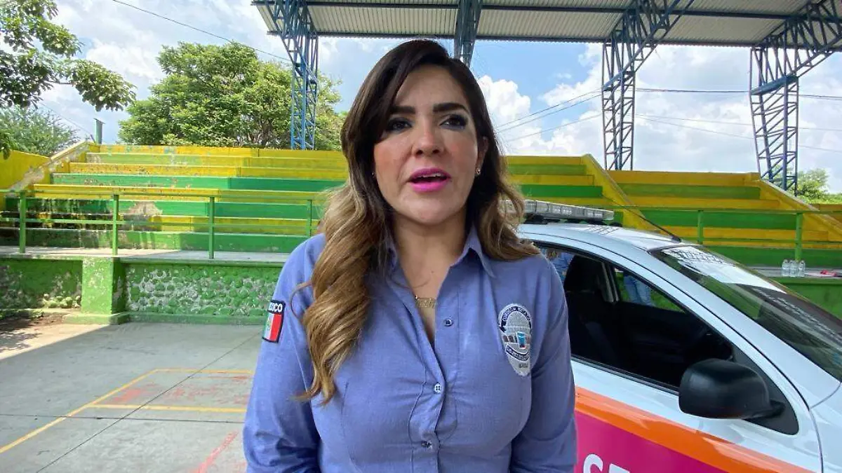 comisión-seguridad-