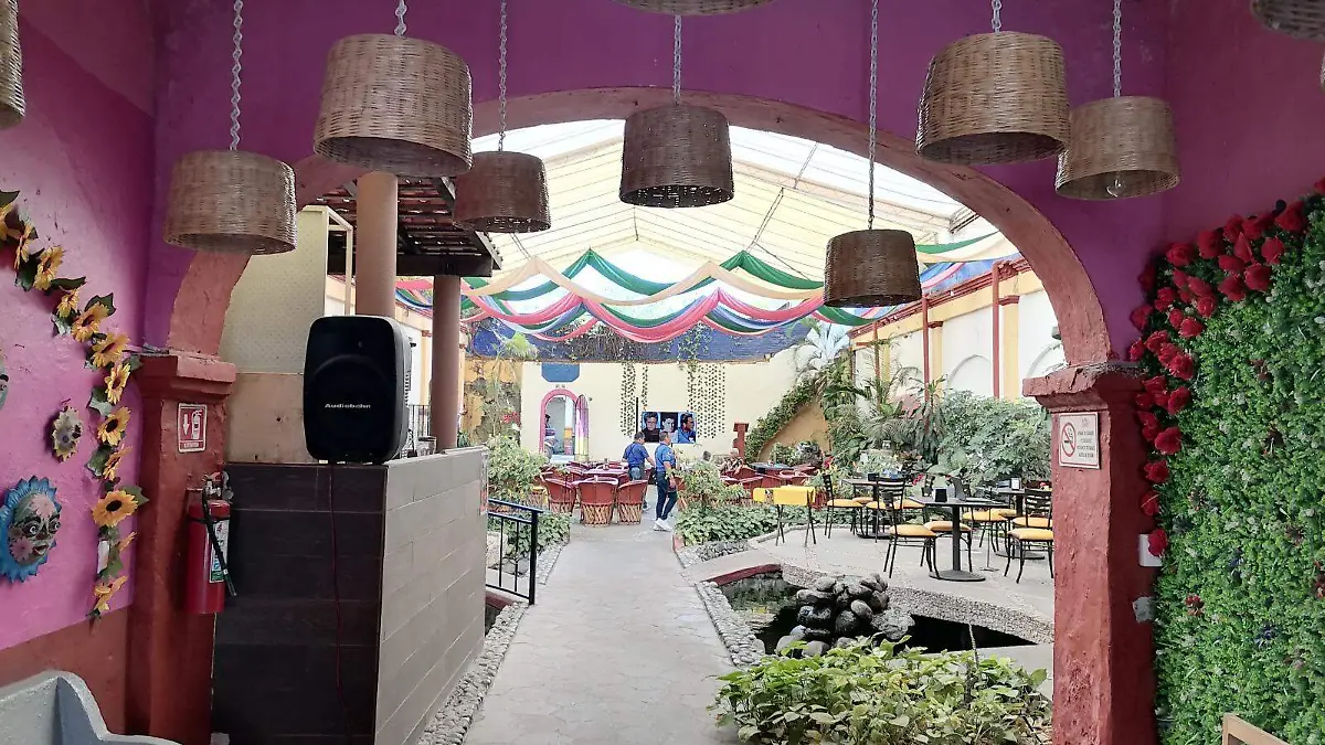 cuautla-centro-gudelia (5)