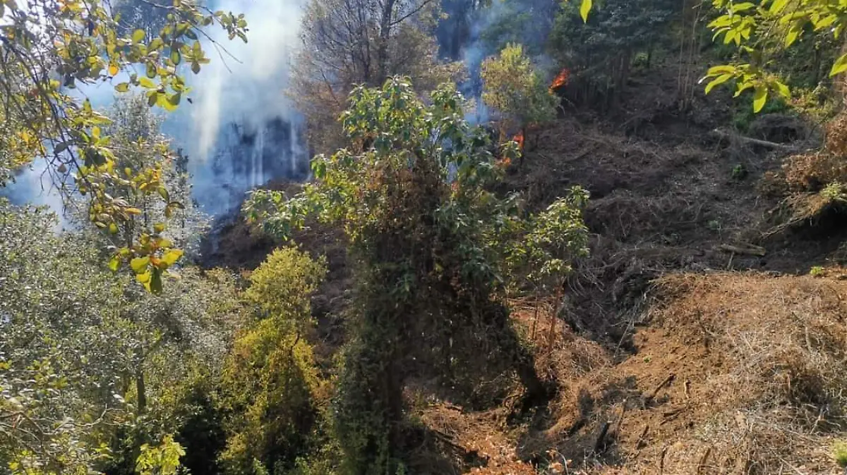 Hueyapan.incencio-paraje
