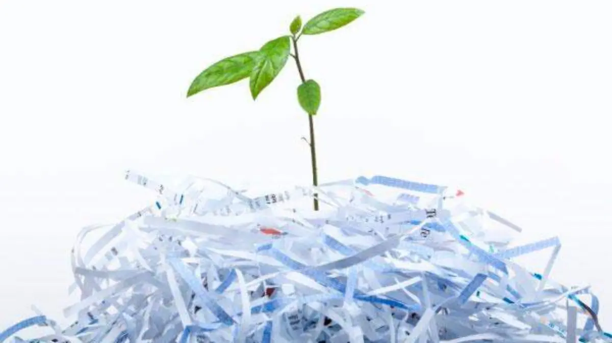 4C-H3-Soluciones-en-verde