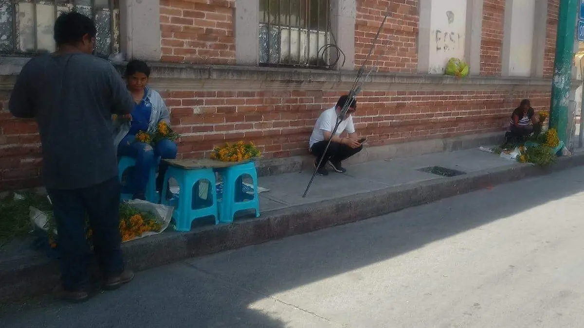 cruces-flor-pericon-cuautla-2-foto-dulce-gaviña