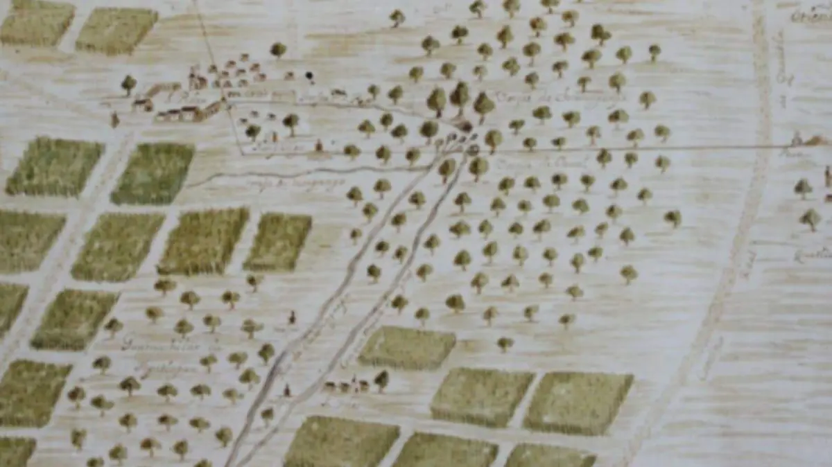 WhatsApp Image 2021-09-18 at 2.45.40 PM