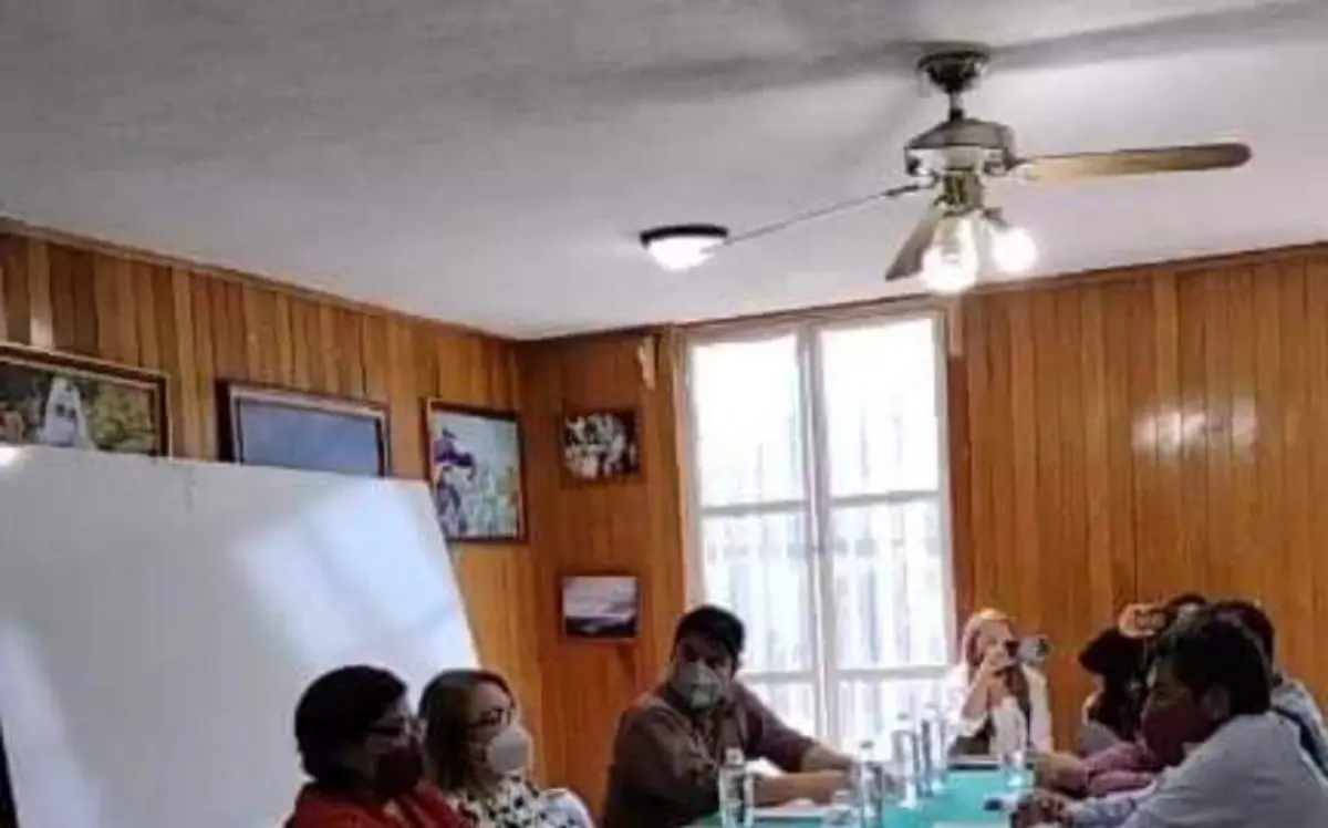 WhatsApp Image 2021-05-06 at 16.10.04