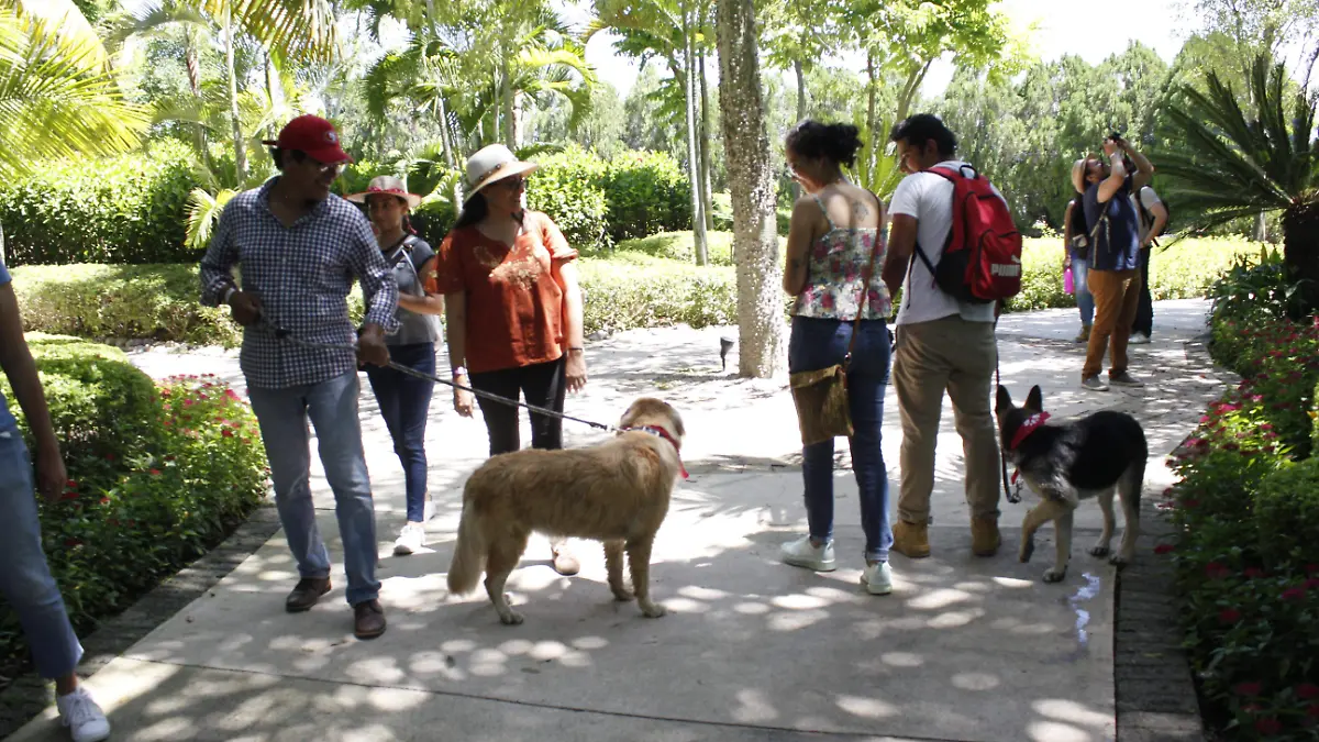 Día del Perro en Jardines de México