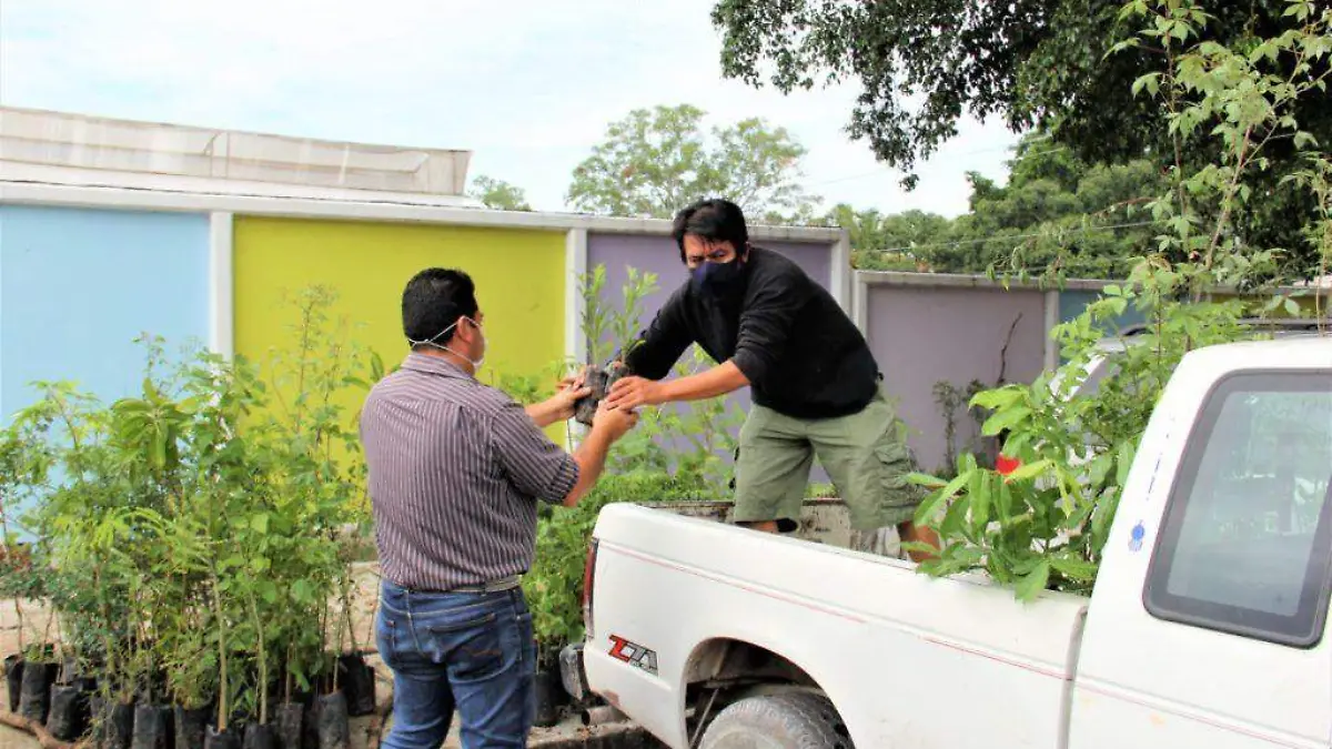 WhatsApp Image 2020-06-27 at 4.12.48 PM