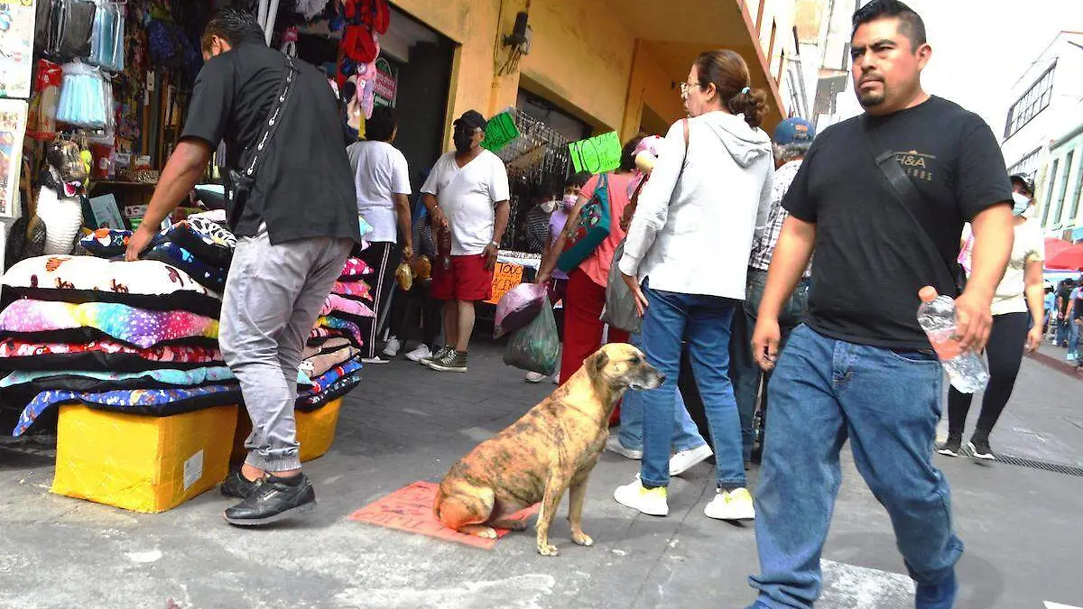 movilidad-social-cuautla