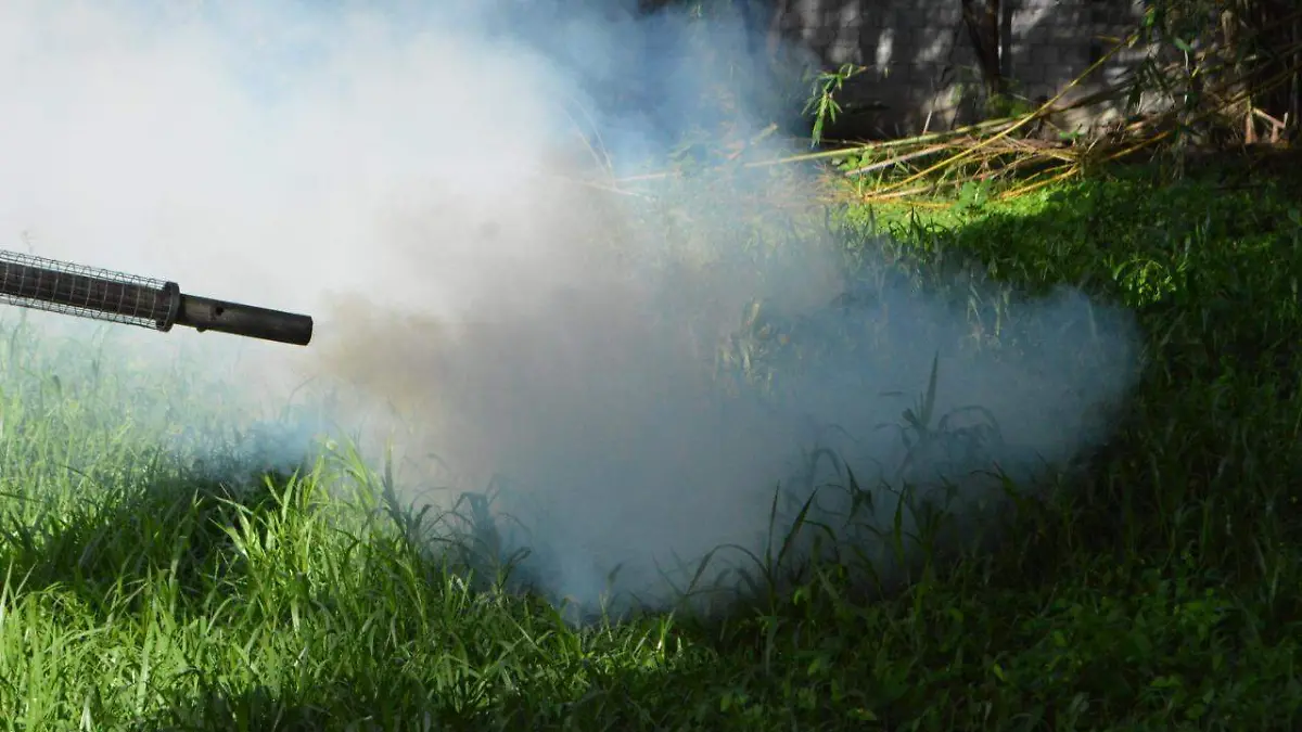 Cuautla sin casos confirmados de dengue