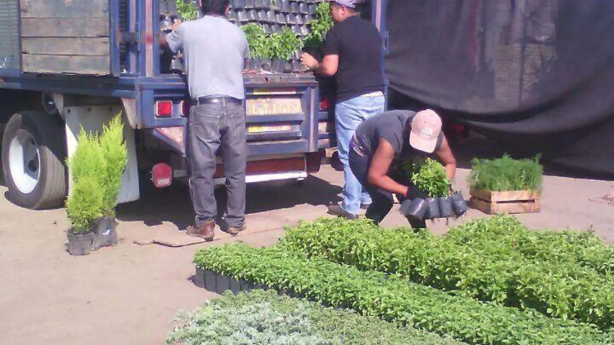 13ecd35b-d1bd-4ed9-b931-feabd2c4ea36