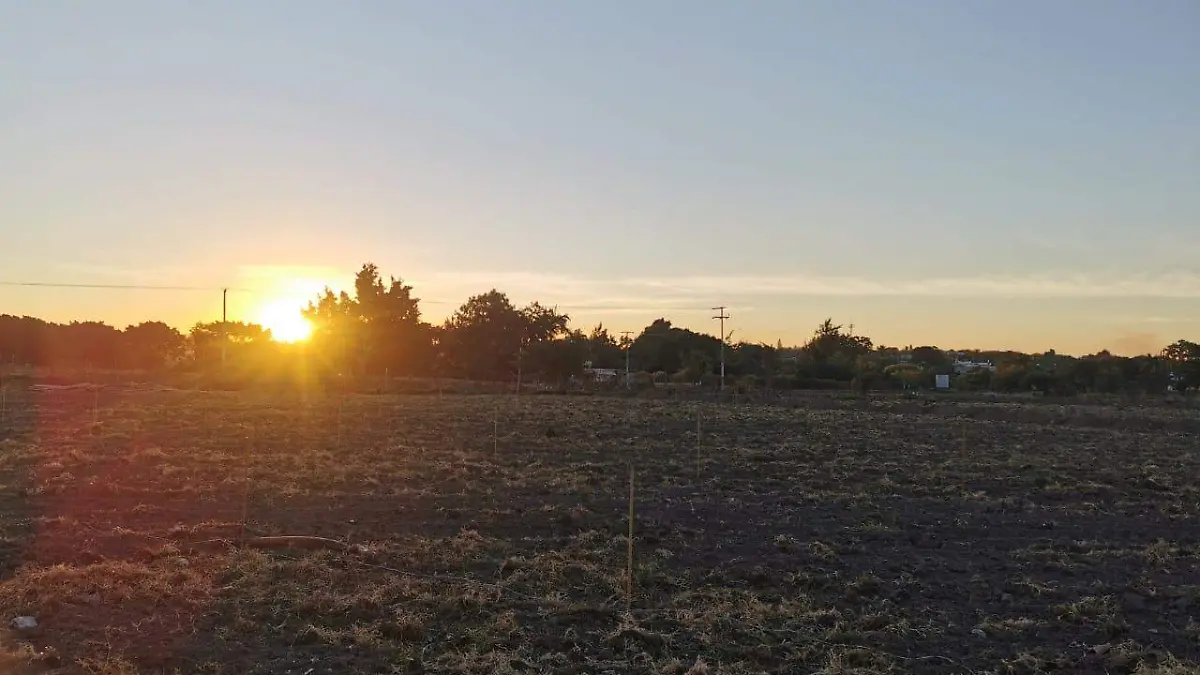 Degradacion-suelo-cultivo