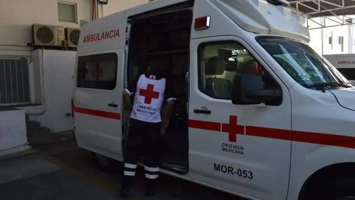 WhatsApp Image 2020-04-11 at 7.44.19 PM