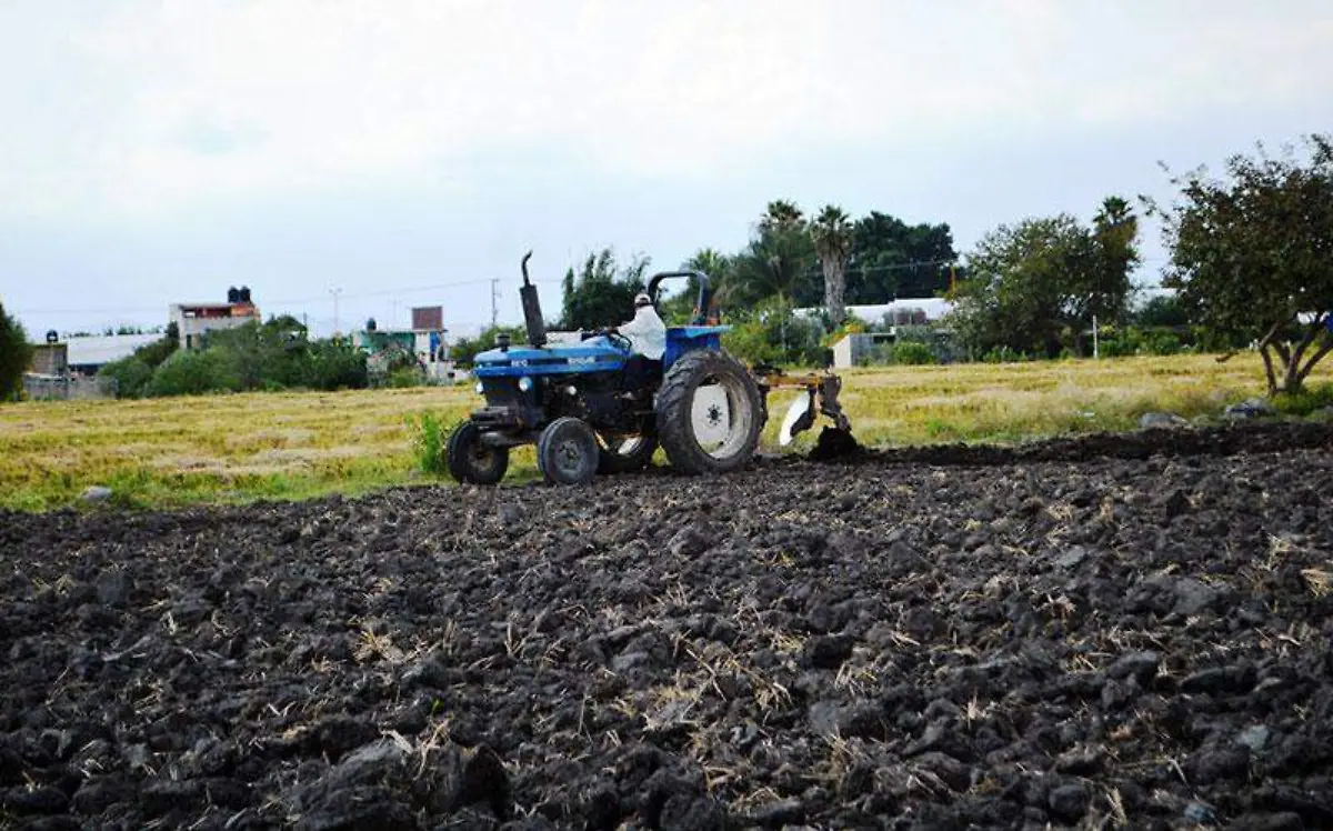 campos-de-siembra-ejido-cuautlixco