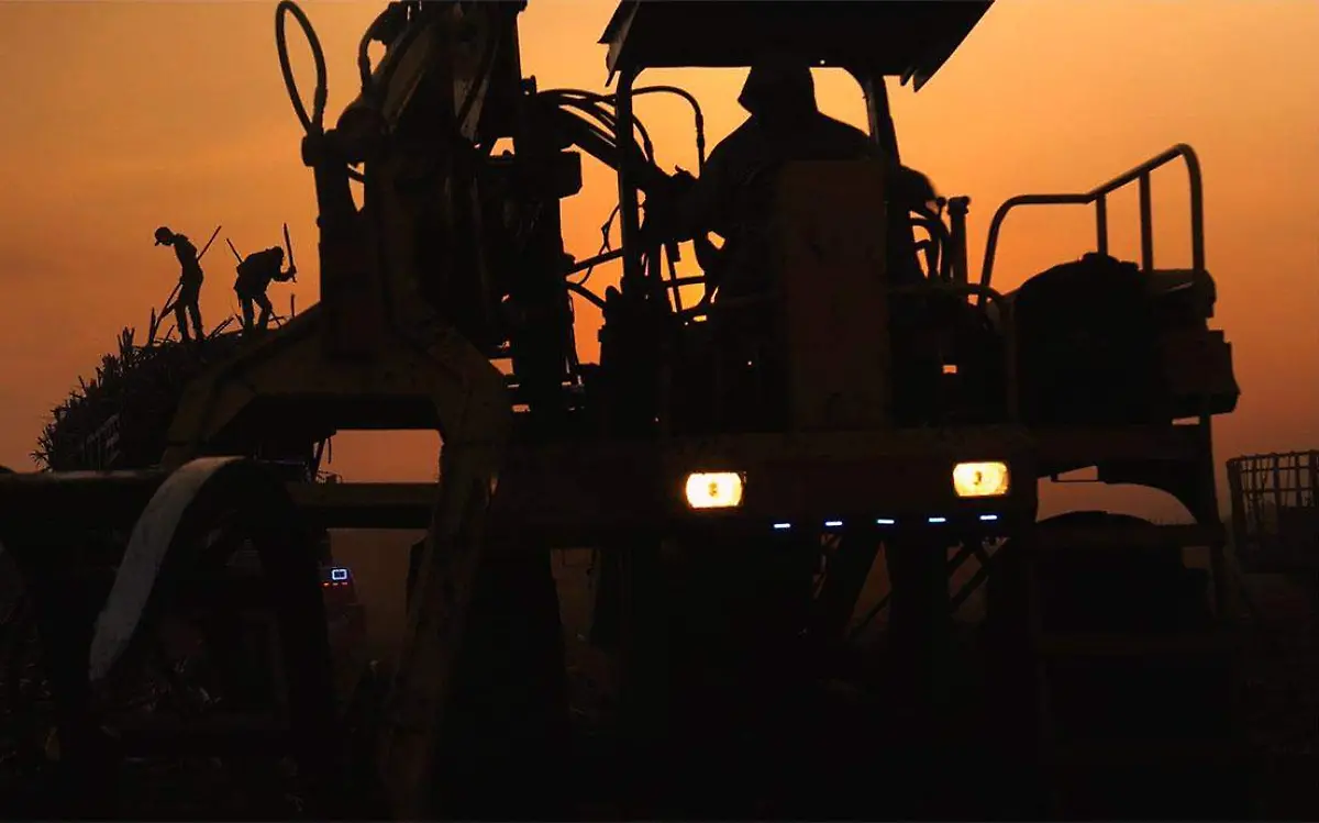 documental-productores-caña-2-cortesia-alejandro-zavaleta