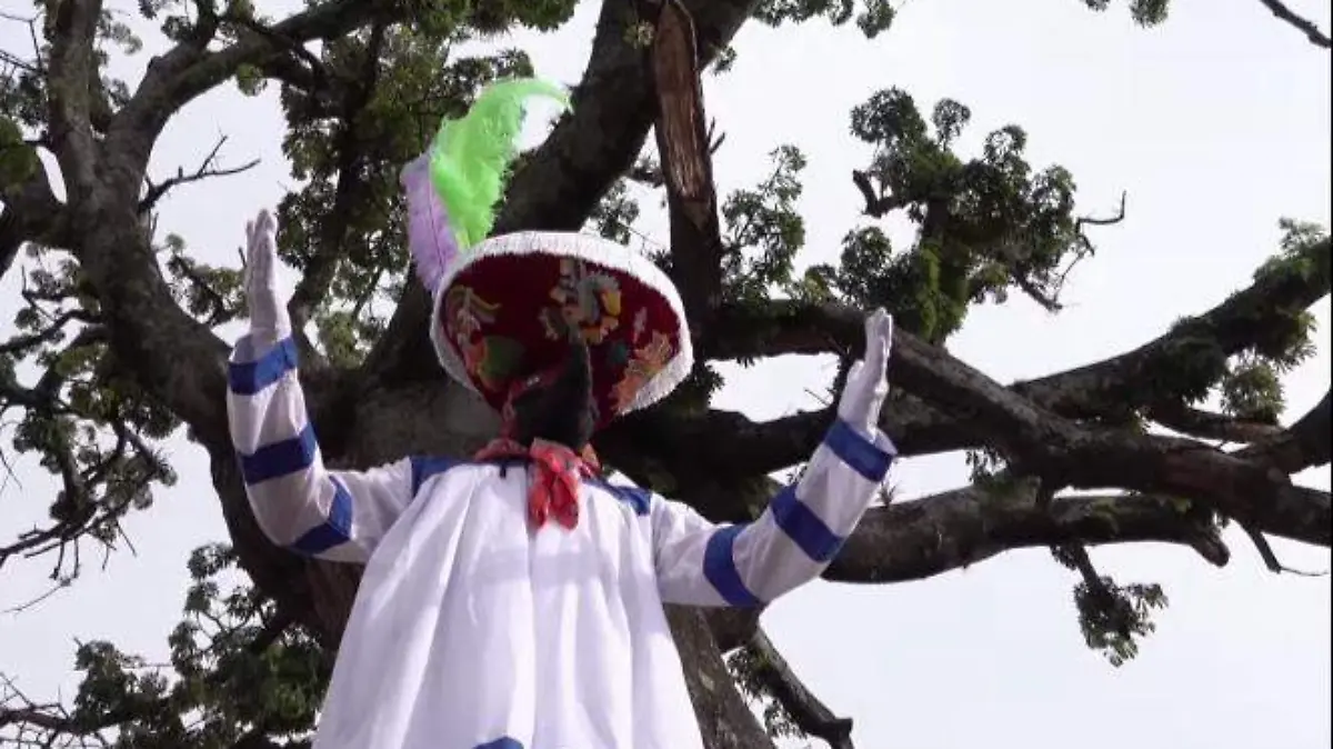 WhatsApp Image 2021-02-16 at 4.51.37 PM