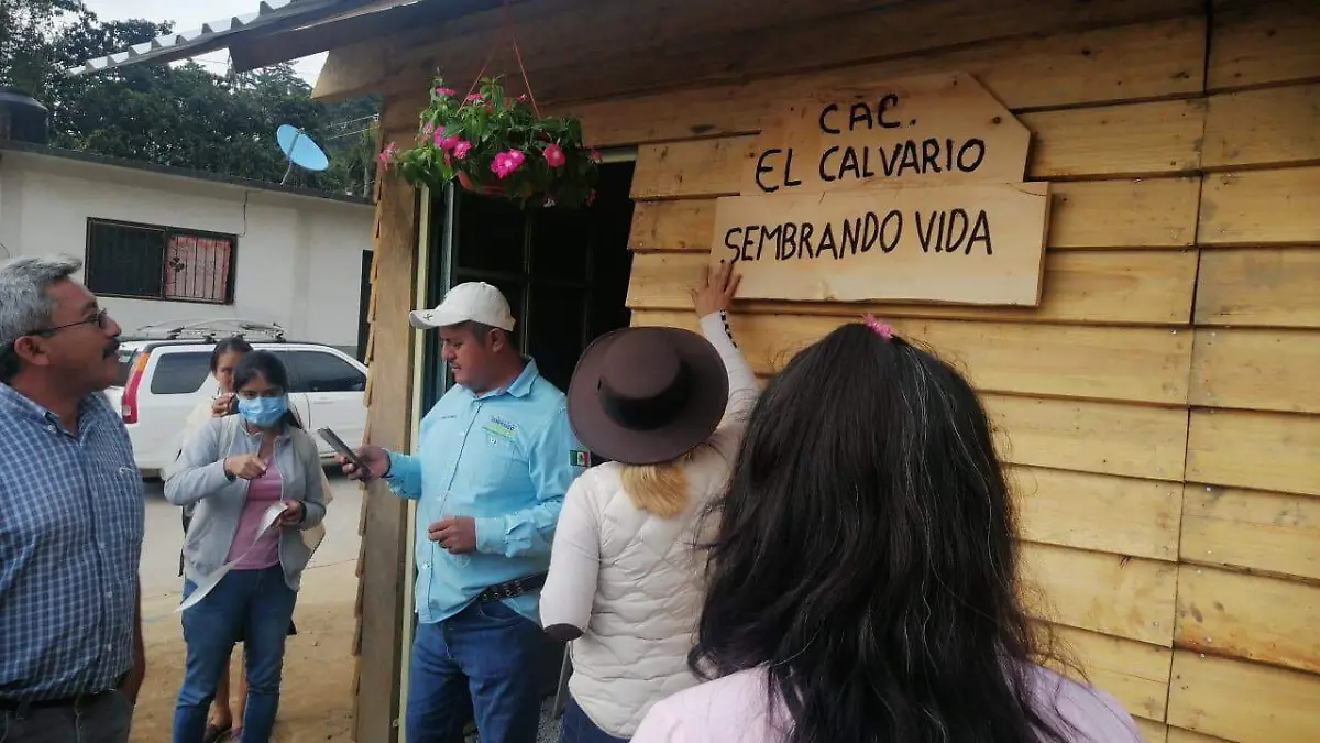 Foto rosaura nota 1, cortesía Sembrando  Vida