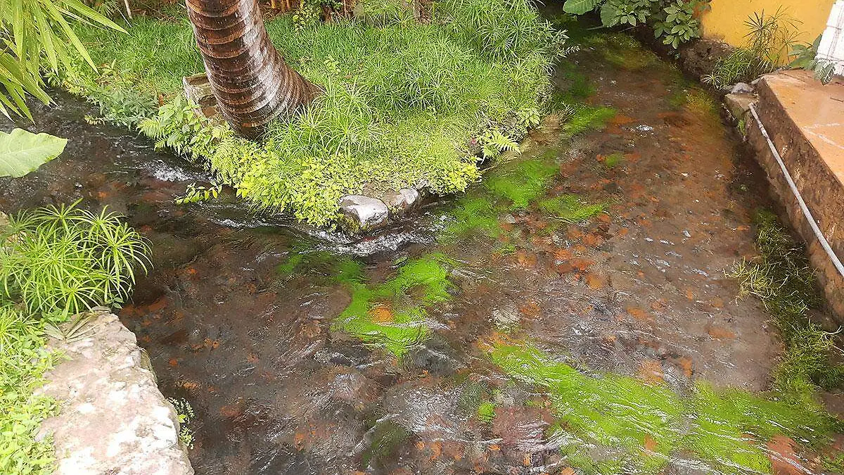 lluvias-morelos-afluete-cuautla