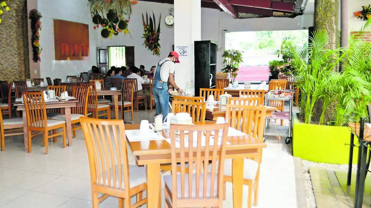 bambú-limón