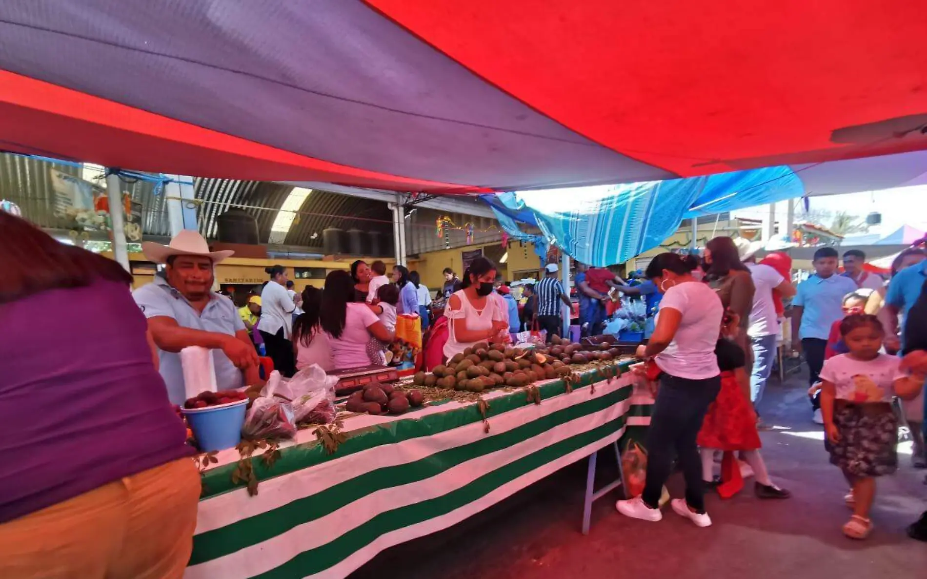 tianguis-jonacatepec-rosaura