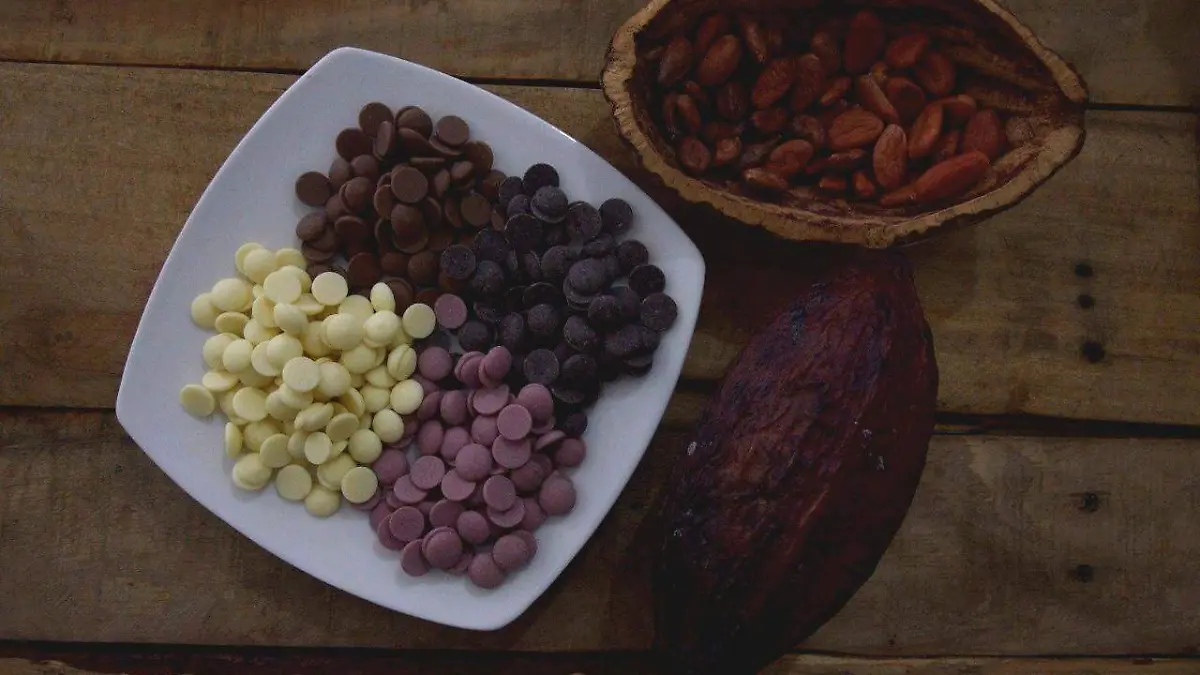 El chocolate proviene de la semilla del cacao, la cual se da comúnmente en países tropicales de América.