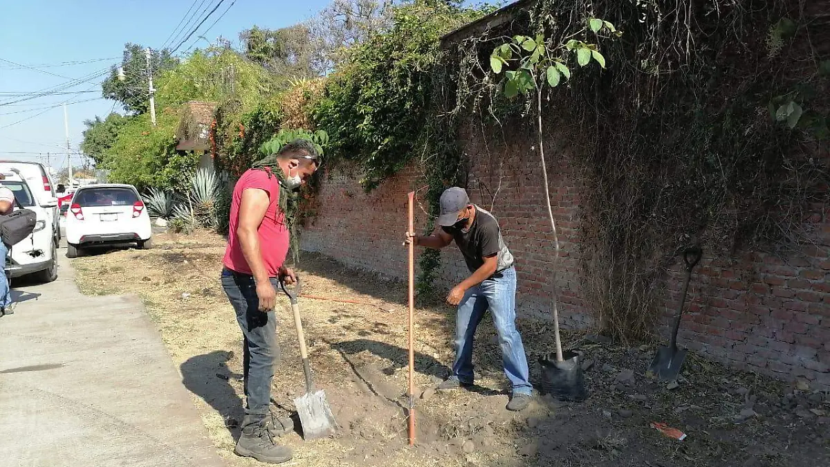 Reforestación