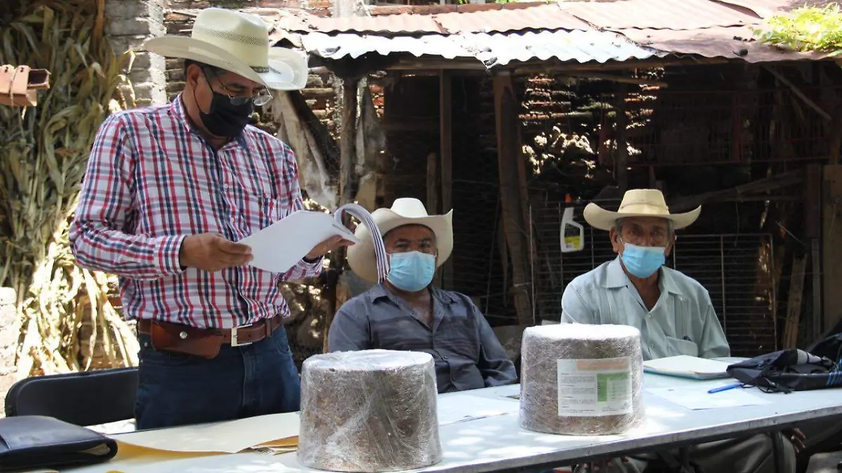 Ganaderos-ayala-actividades2