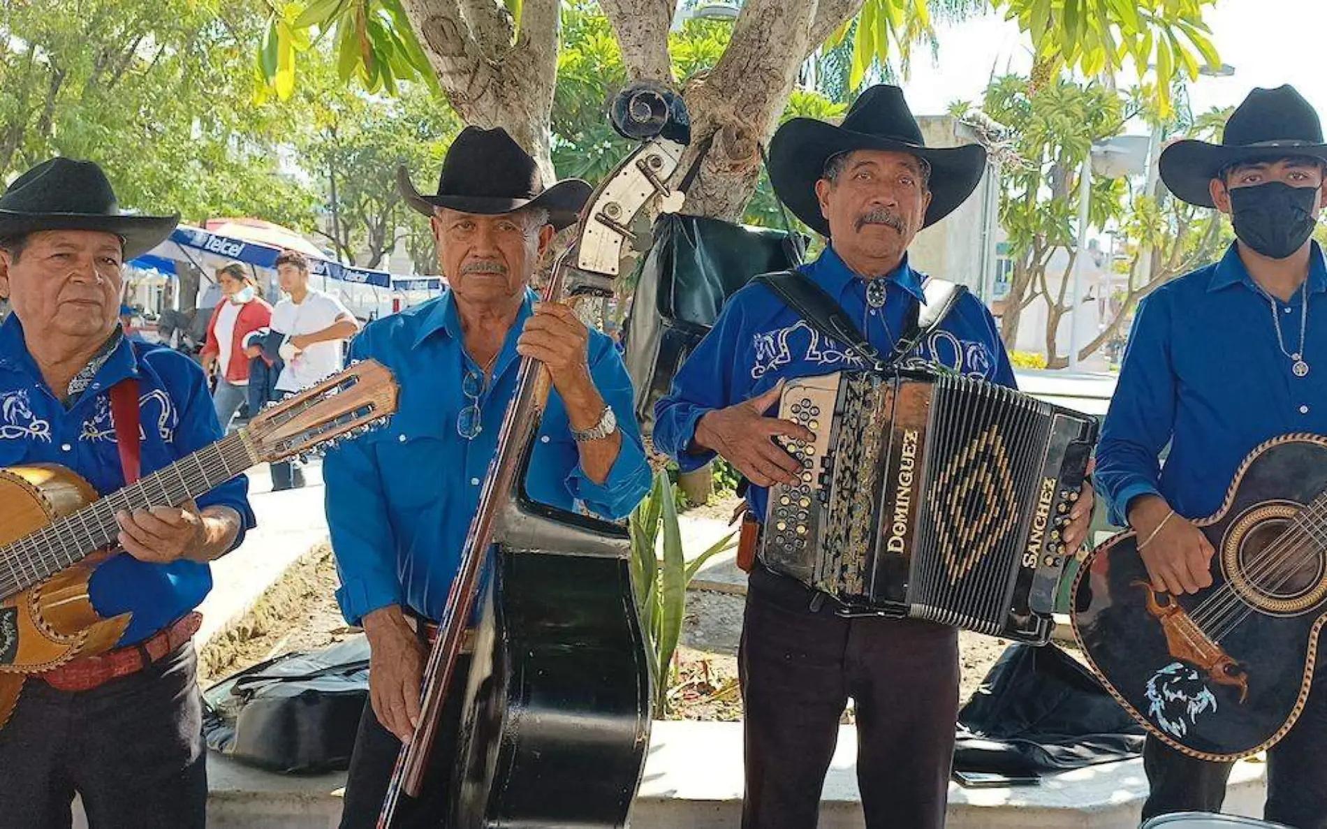 mariachis-cuautla-celebracion-sana-cecilia