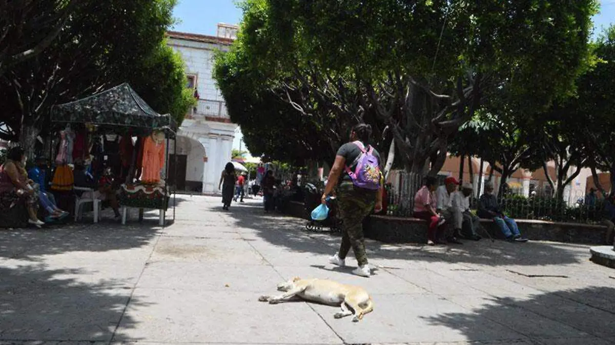 movilidad-social-cuautla