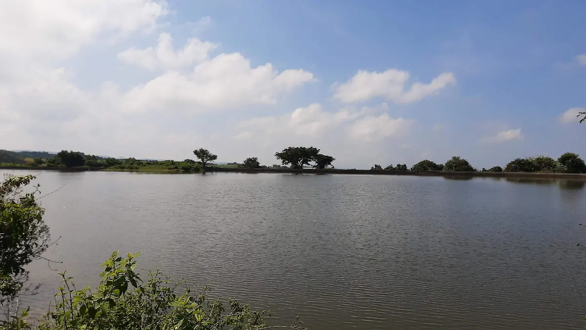 presas-morelos-archivo