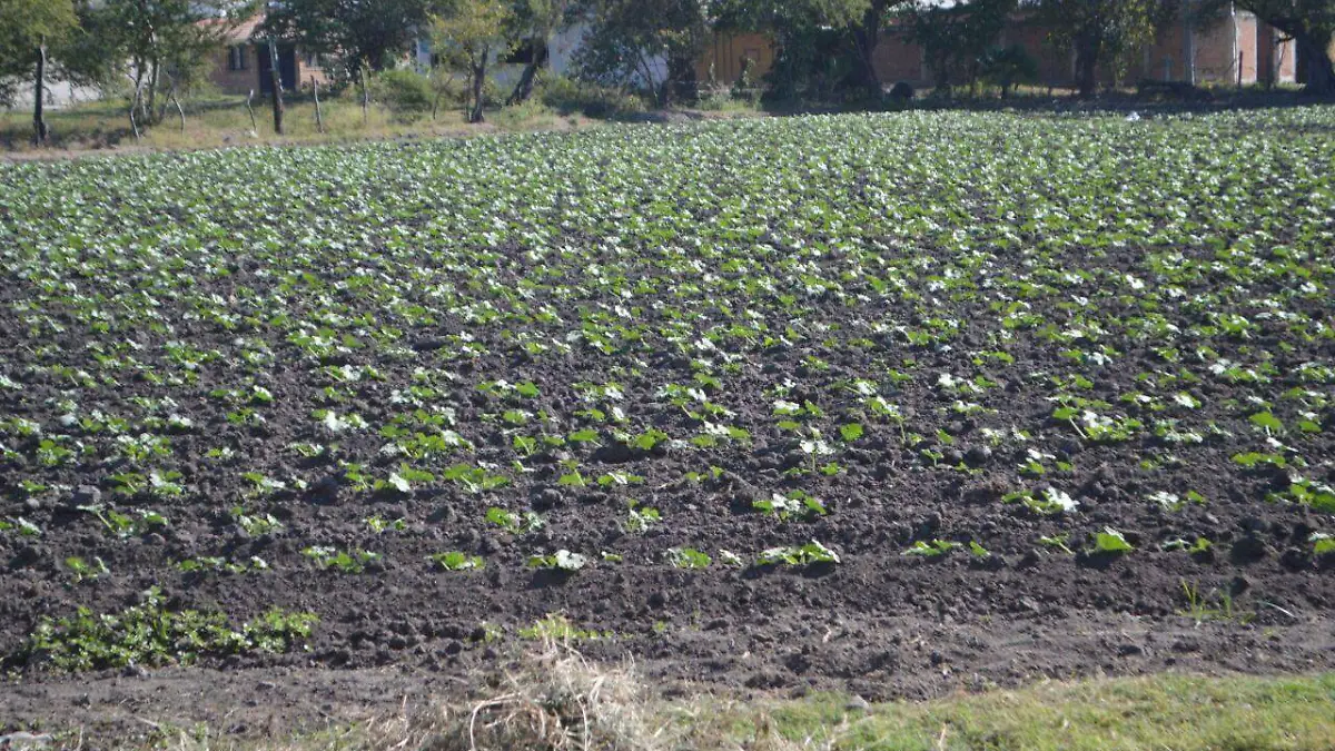 productores-campo-pagos