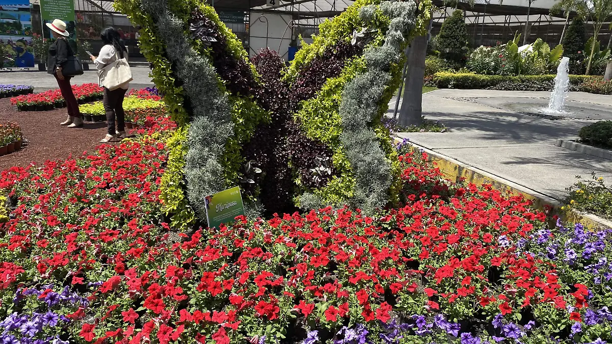 jardín-etnográfico