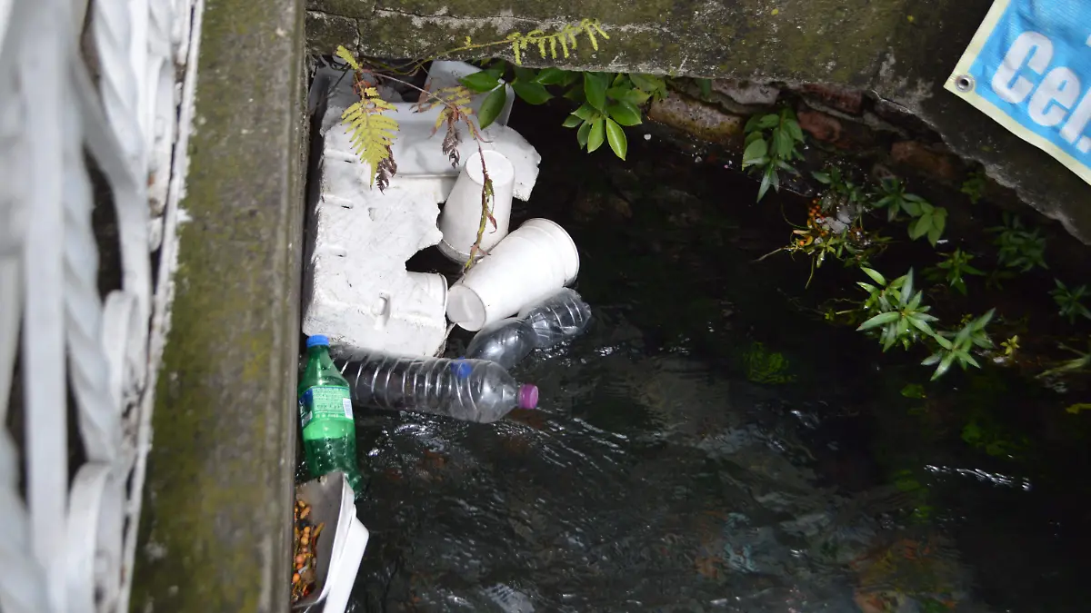 ROSAURA NOTA 2 (GUDE) (2) (2)