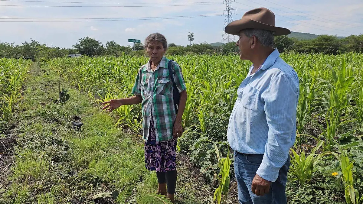productores
