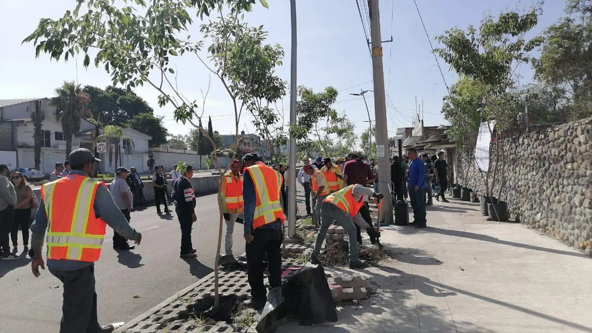 refoestación-cuautla-carretera