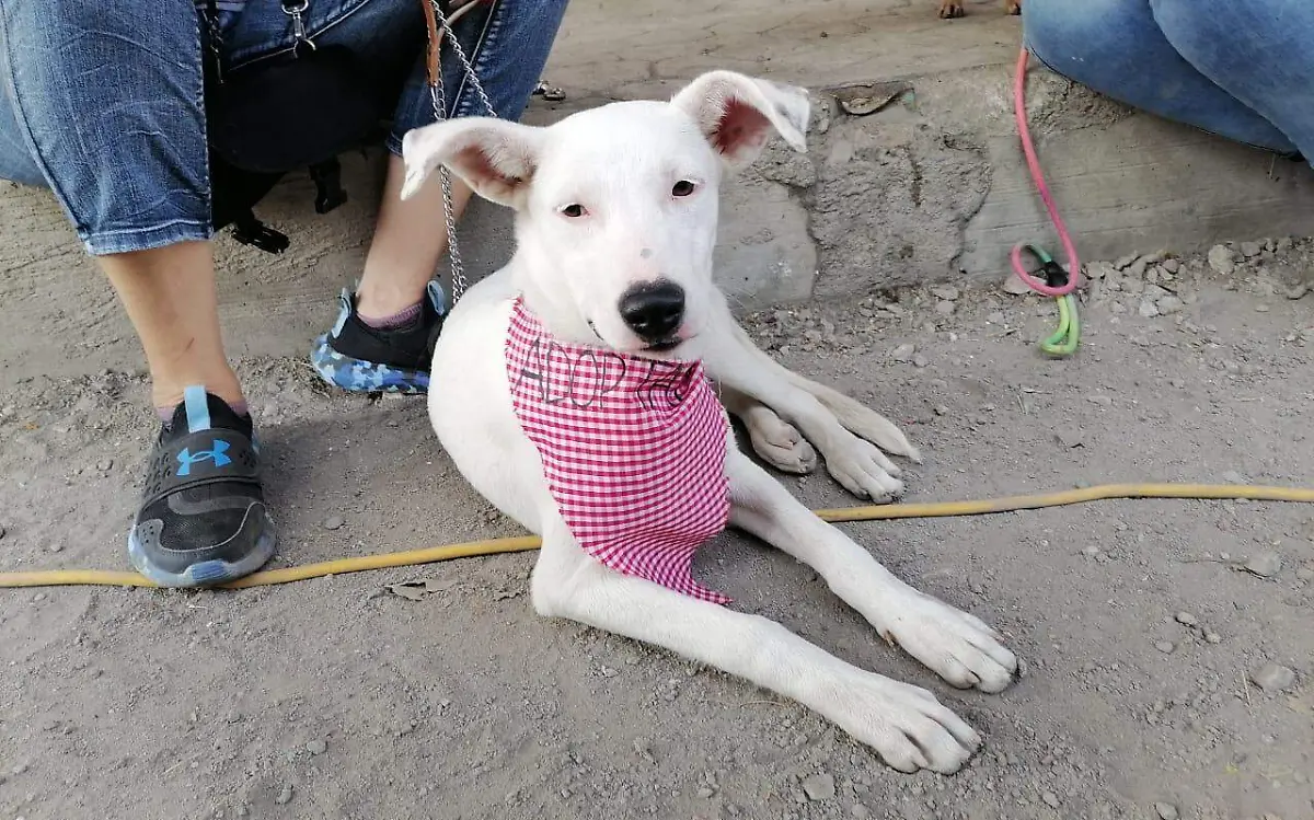 WhatsApp Image 2023-11-04 at 6.11.19 PM