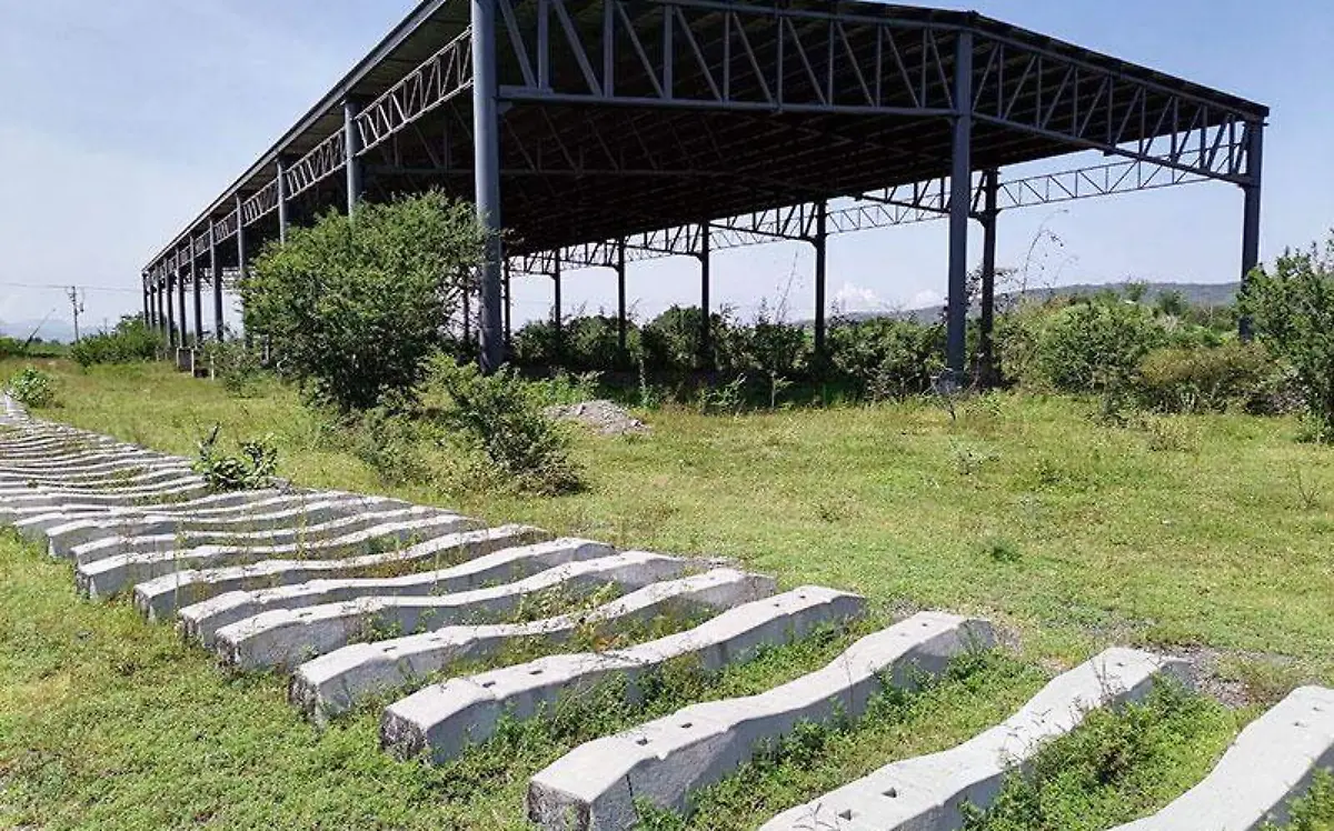 proyecto-tren-ferrosur-morelos