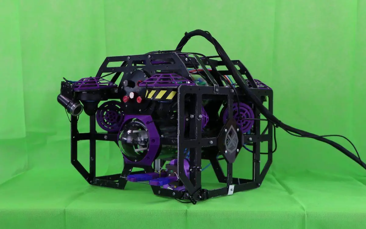 WhatsApp Image 2021-06-16 at 17.58.15