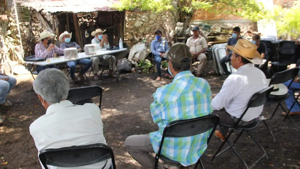 Ganaderos-ayala-actividades