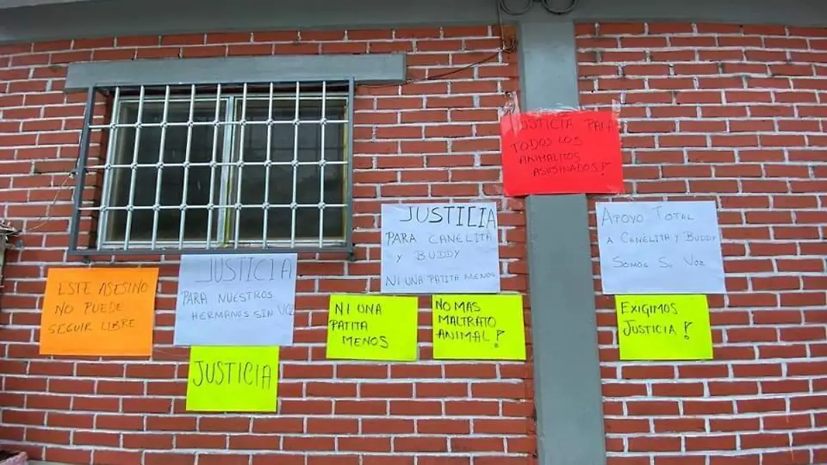 WhatsApp Image 2021-05-07 at 17.46.11 (1)