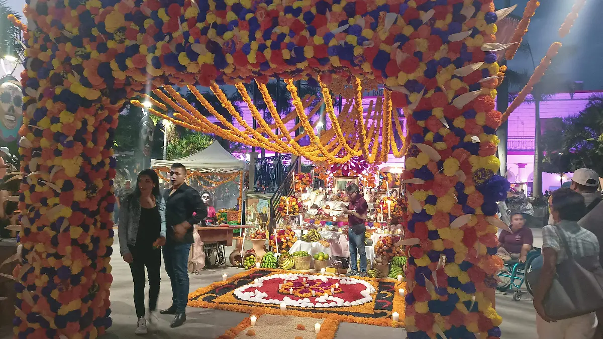 IMG_20231031_182332145