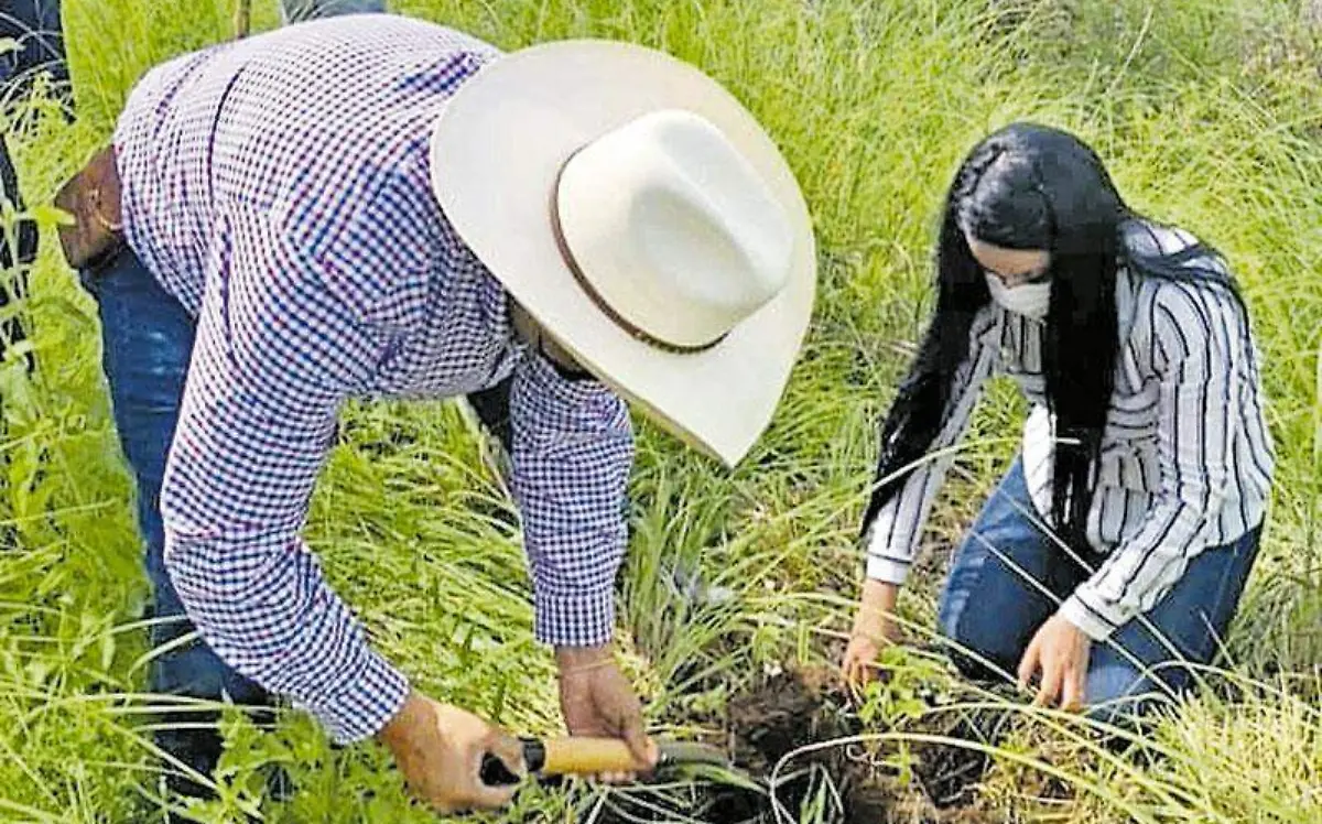 reforestacion-cerro-santa-barbara