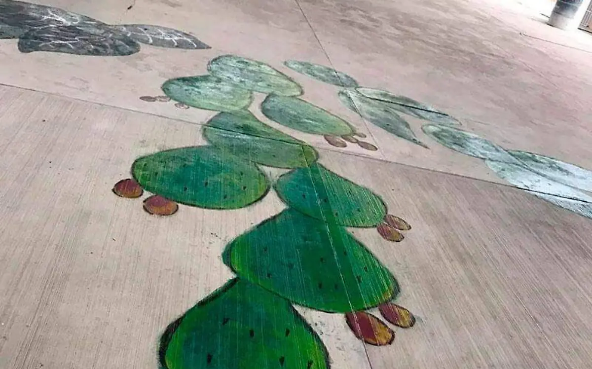 primaria-samir-flores